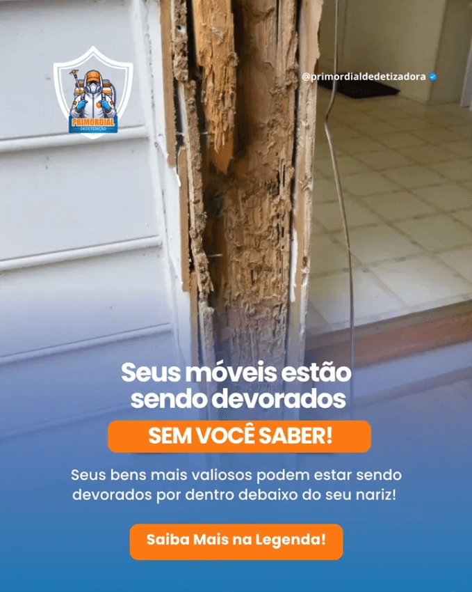 Seus Móveis Estão Sendo Devorados por Cupins Sem Você Saber!