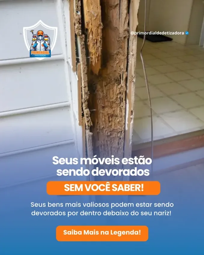 Seus Móveis Estão Sendo Devorados por Cupins Sem Você Saber!