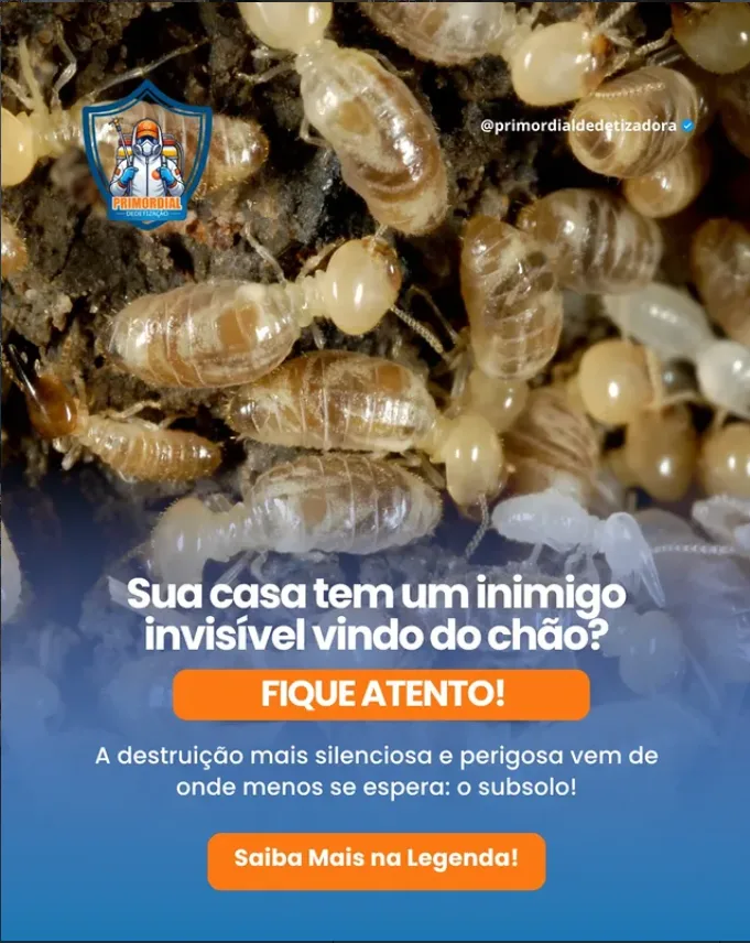 Entenda o Perigo do Cupim de Solo e a Solução da Primordial