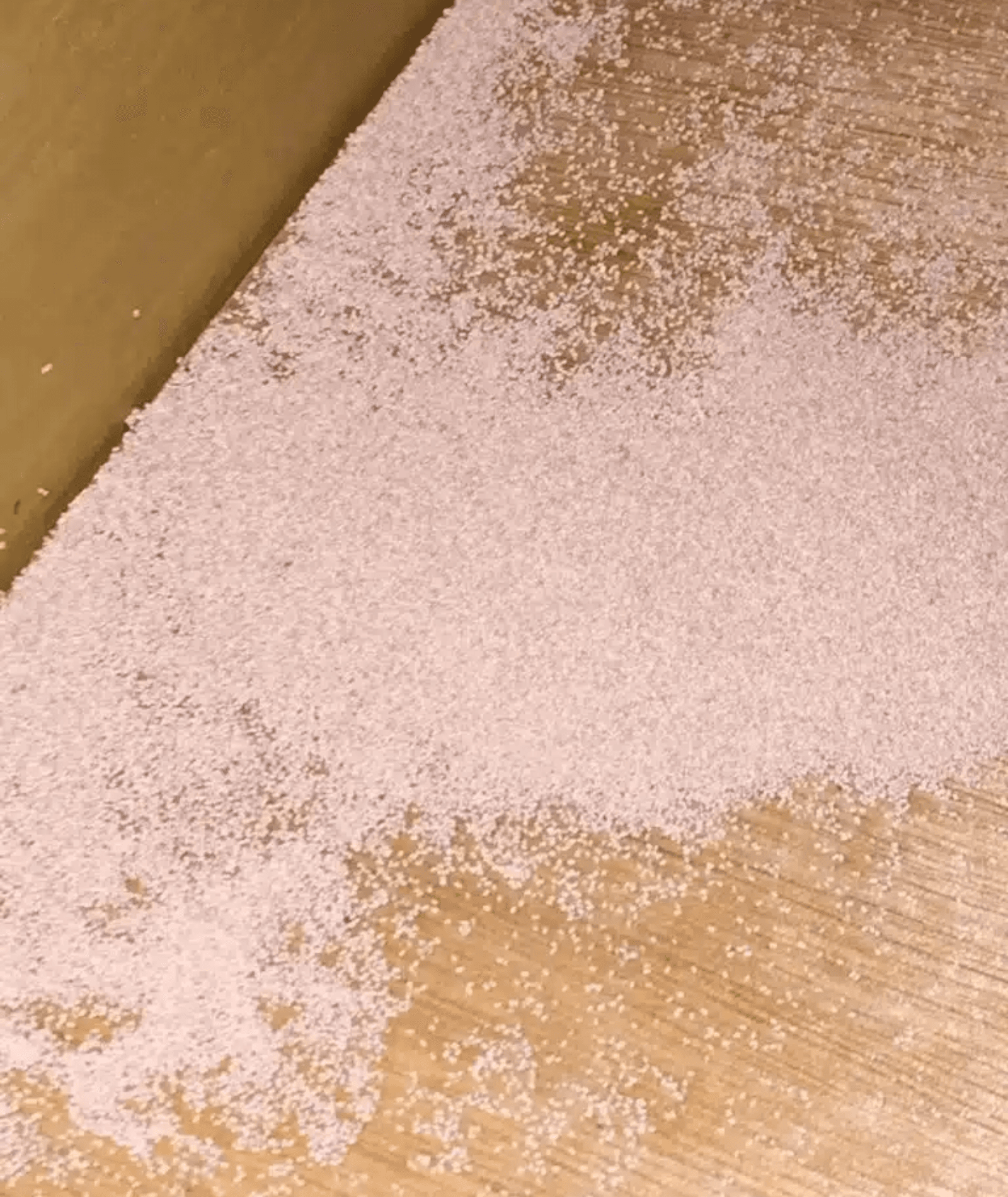 Design sem nome (10)